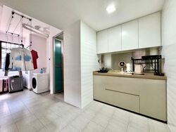 Emerald Park (D3), Condominium #439923321